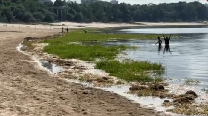 Banhistas desrespeitam interdição e são flagrados na praia da Ponta Negra em Manaus