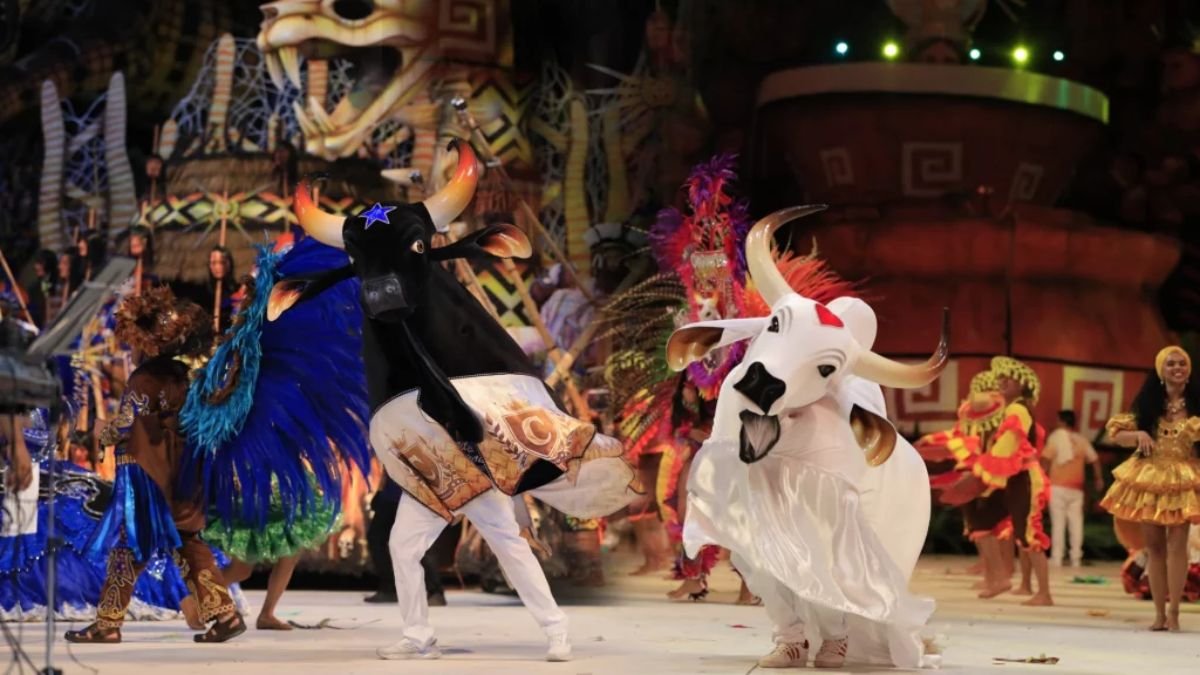 Sorteio define a ordem da apresentação dos Bumbás no Festival de Parintins em 2025