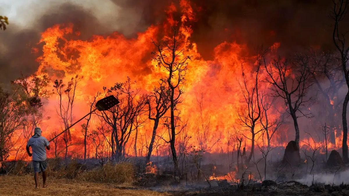 Brasil queimadas amazônia